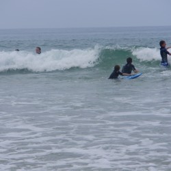 Rockley 2009  181